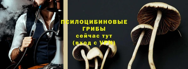 хмурый Абинск