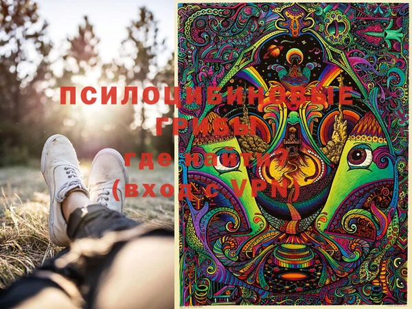 ГАЛЛЮЦИНОГЕННЫЕ ГРИБЫ Абдулино