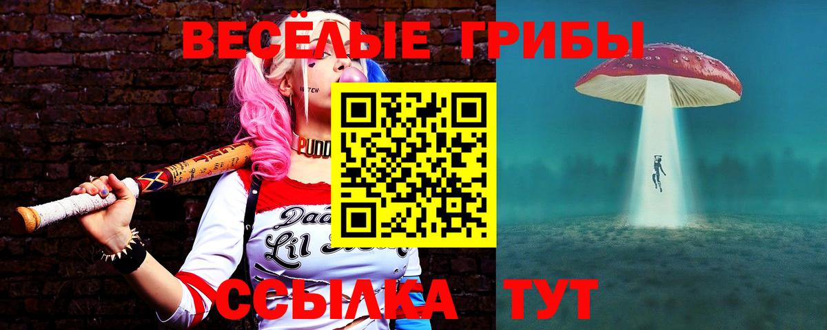 Псилоцибиновые грибы Psilocybe  Галлюциногенные грибы Cubensis  Карпинск  Вход с VPN 